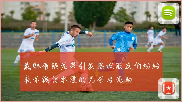 戴琳借钱无果引发热议朋友们纷纷表示钱打水漂的无奈与无助