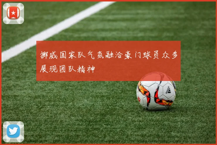挪威国家队气氛融洽豪门球员众多展现团队精神