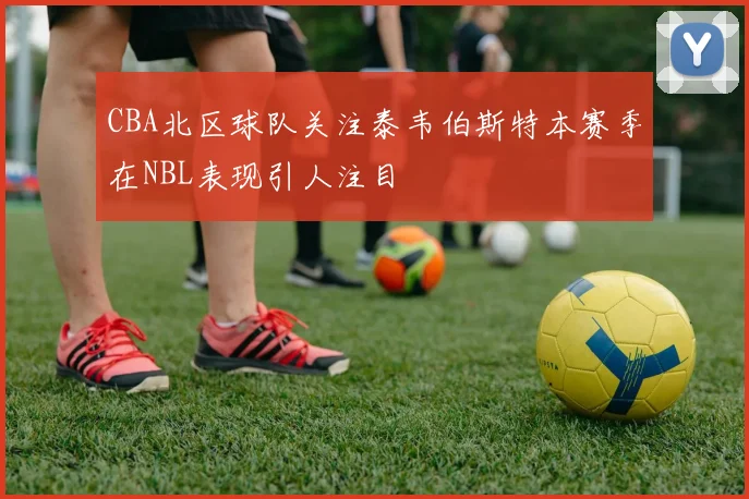 CBA北区球队关注泰韦伯斯特本赛季在NBL表现引人注目