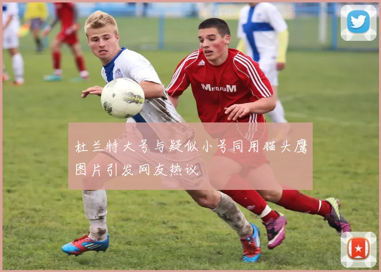 杜兰特大号与疑似小号同用猫头鹰图片引发网友热议