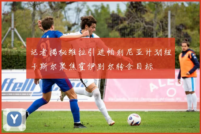 记者揭秘维拉引进帕利尼亚计划纽卡斯尔聚焦霍伊别尔转会目标